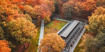 zdjęcie dekoracyjne