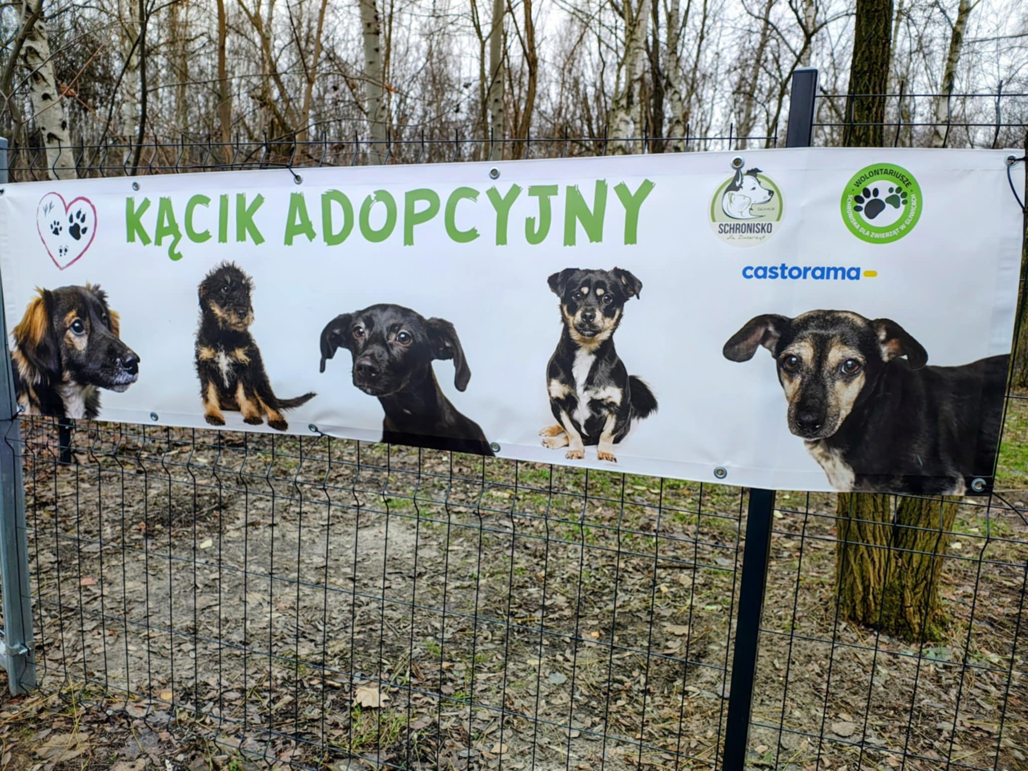 Kącik adopcyjny, by lepiej się poznać