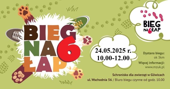 Plakat promujący majowy "Bieg na 6 łap"