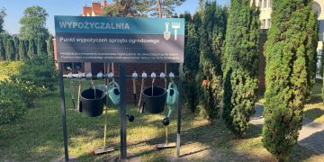 zdjęcie dekoracyjne