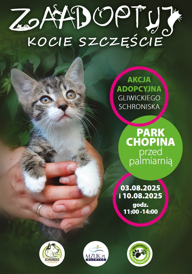 zdjęcie dekoracyjne 