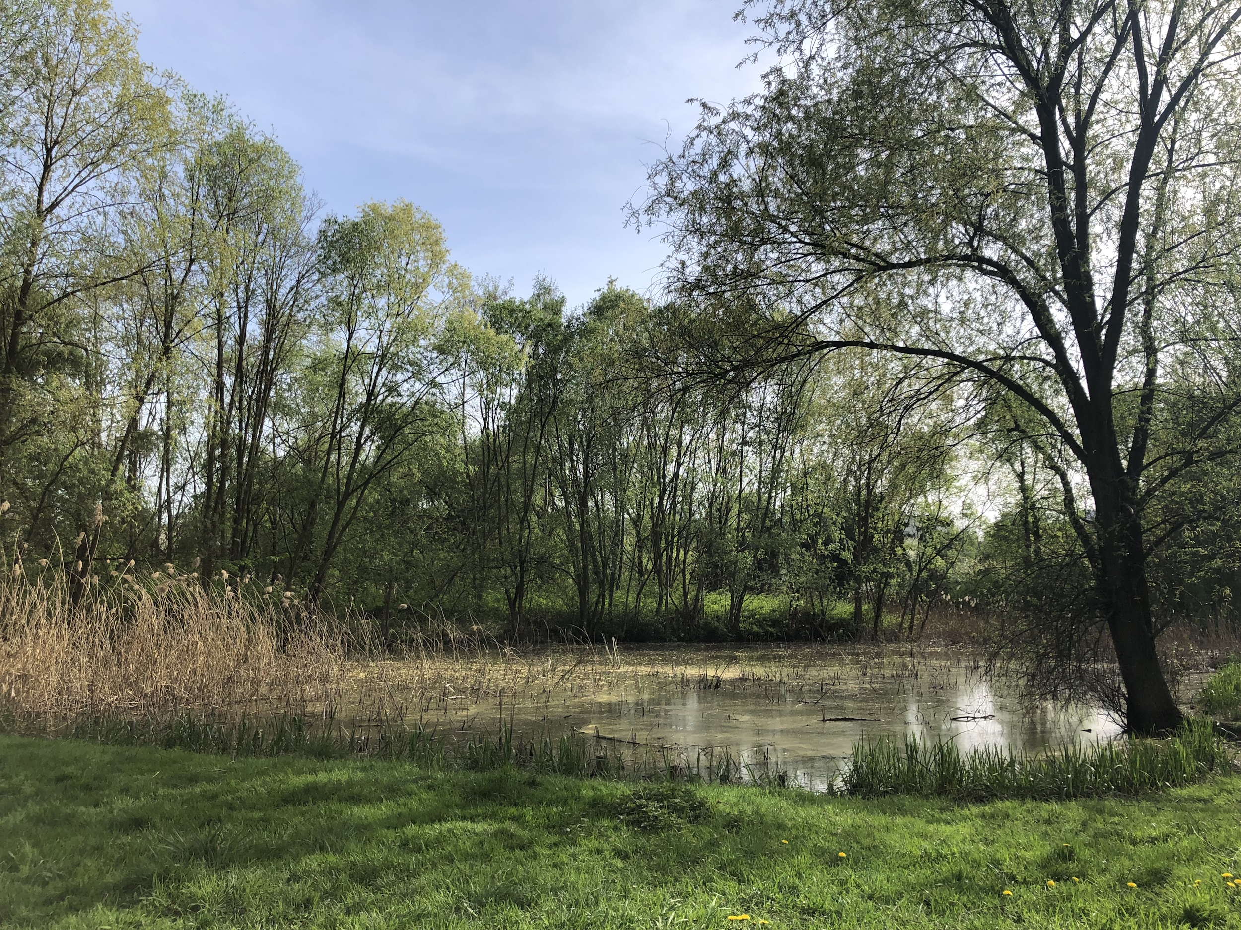 Zielony teren w pobliżu śródmieścia zyska nowe oblicze