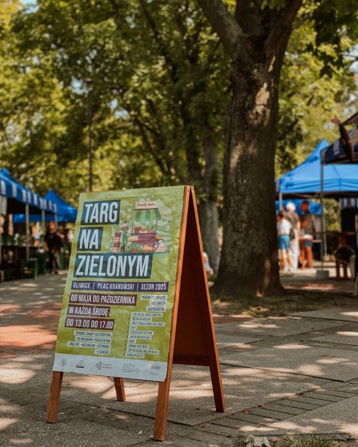 zdjęcie dekoracyjne