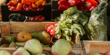 zdjęcie dekoracyjne