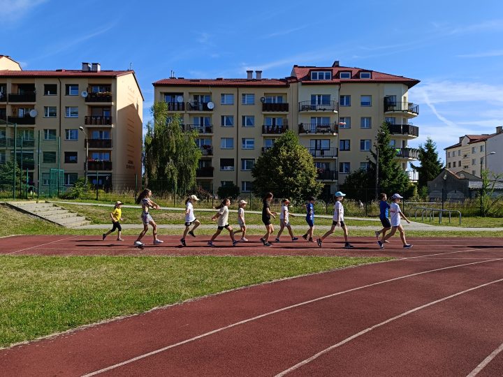 zdjęcie dekoracyjne