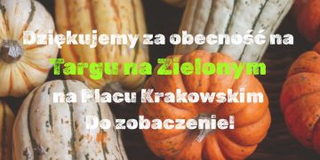 zdjęcie dekoracyjne