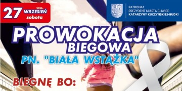zdjęcie dekoracyjne