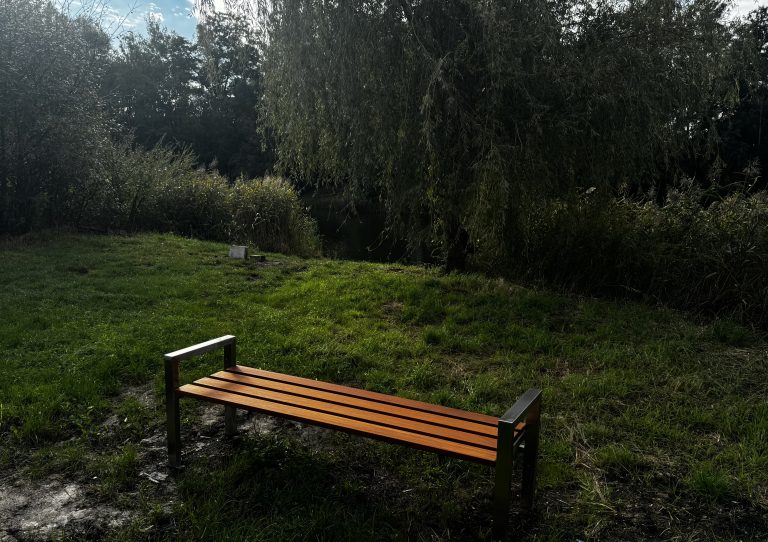 zdjęcie dekoracyjne