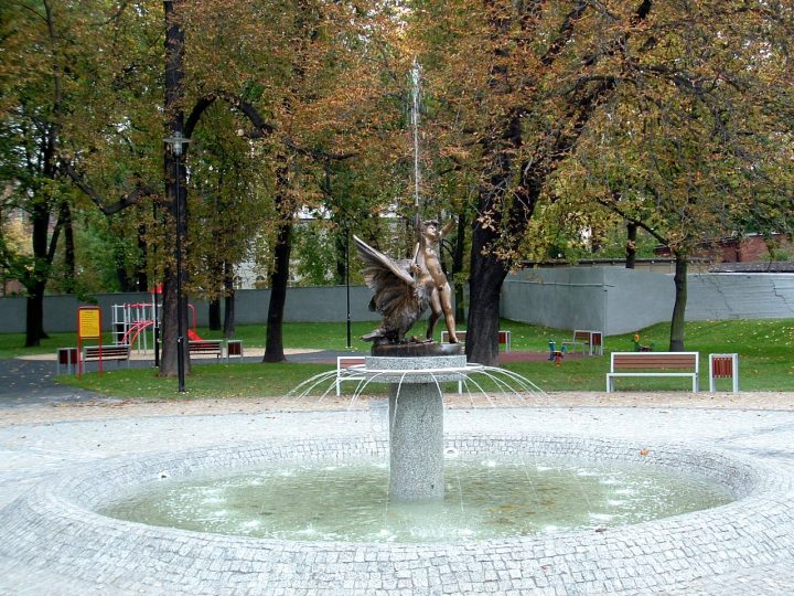 zdjęcie dekoracyjne 