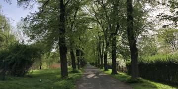zdjęcie dekoracyjne