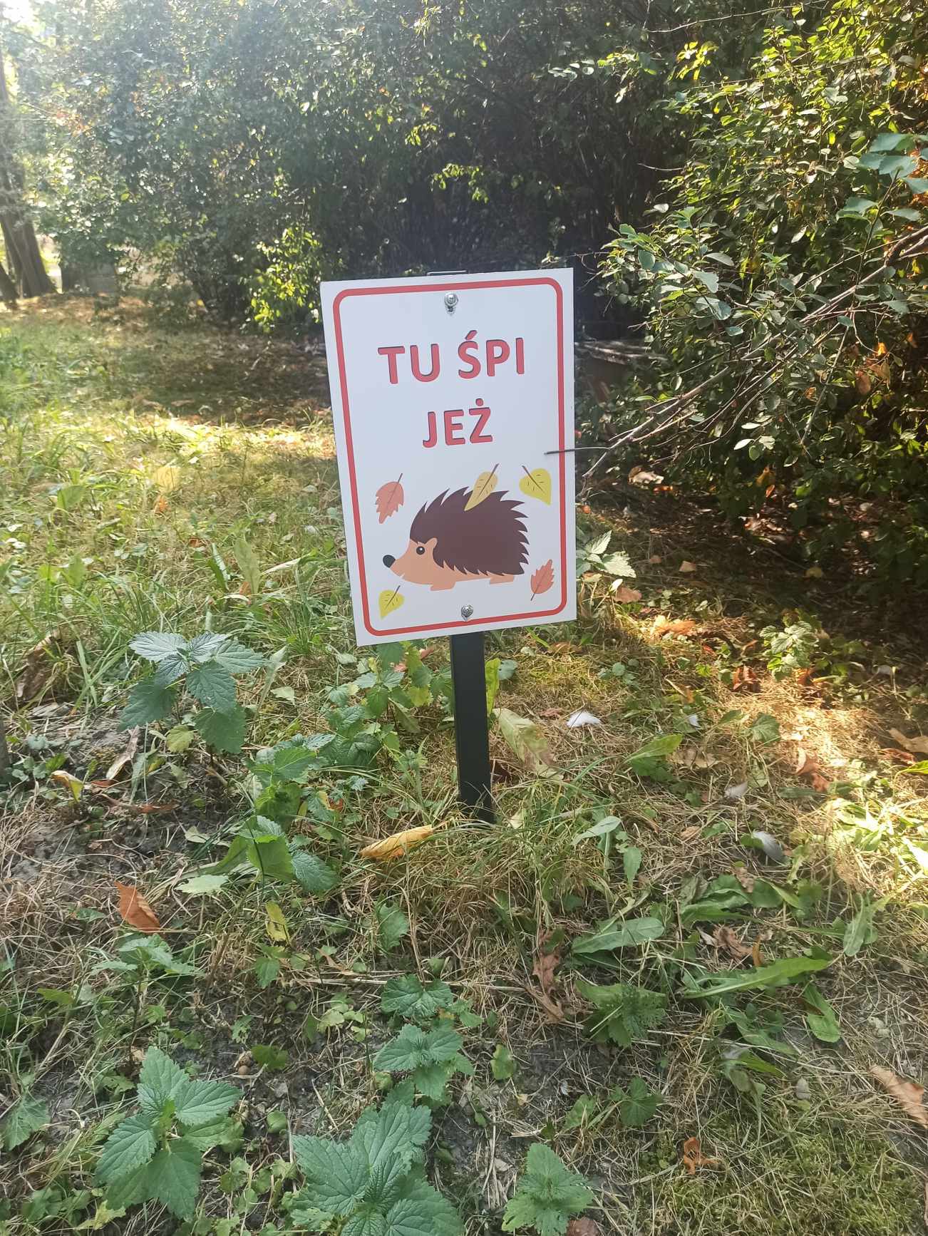 Uwaga – Tu śpi jeż