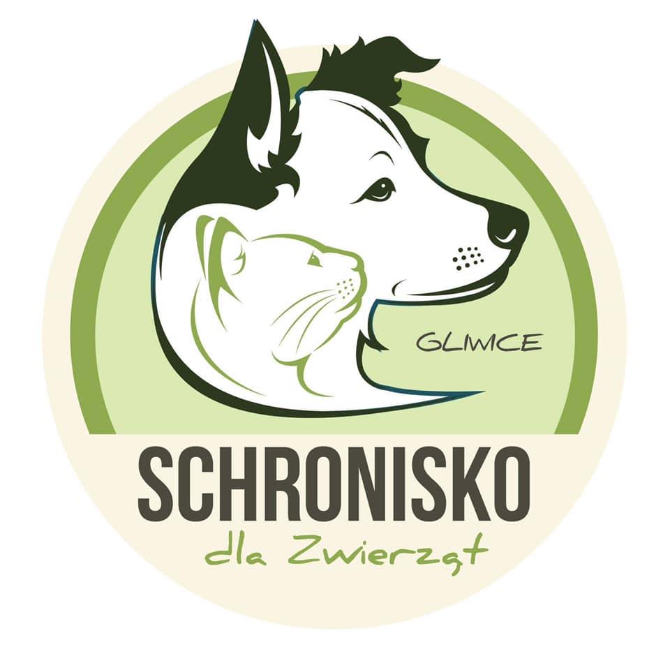 Podopieczni schroniska na spotkaniach w Parku Chopina