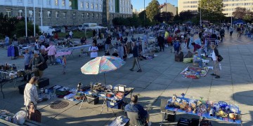 zdjęcie dekoracyjne