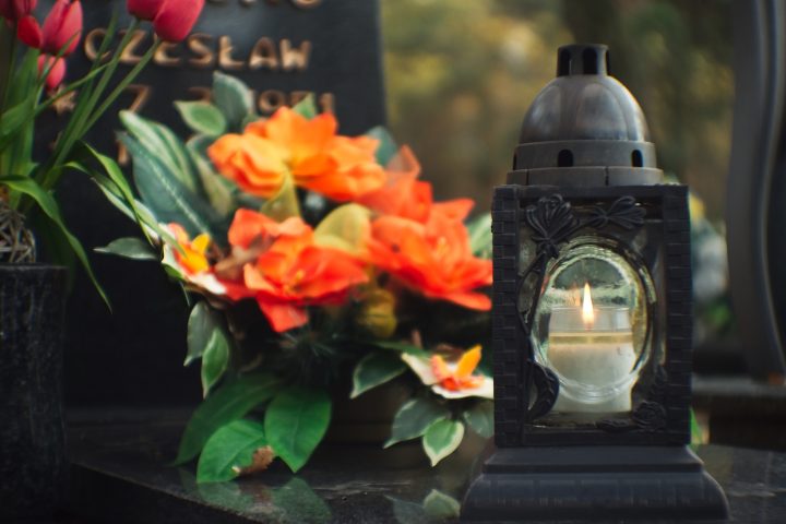 zdjęcie dekoracyjne