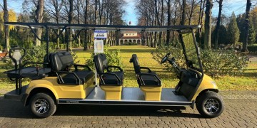 zdjęcie dekoracyjne