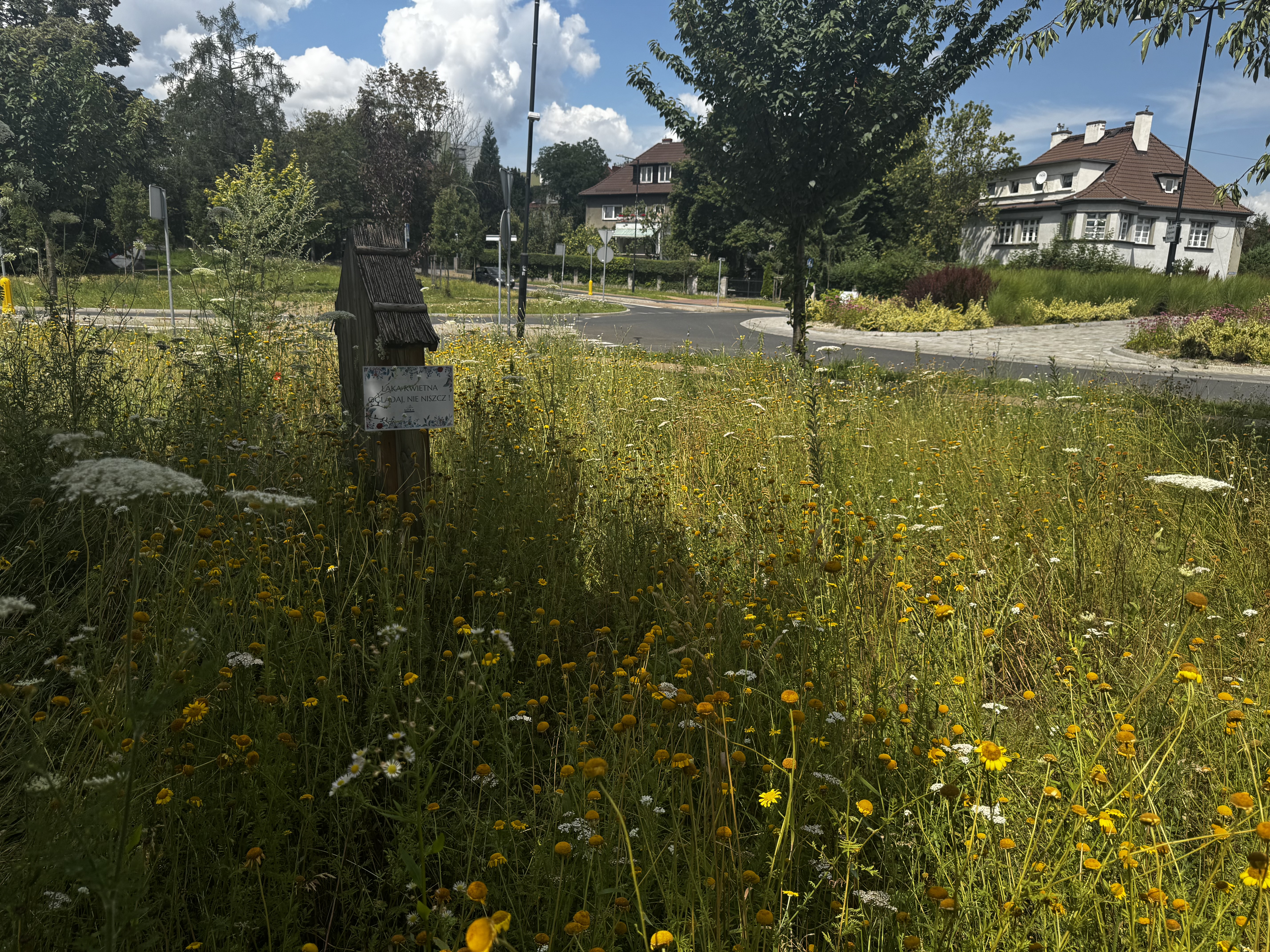 Nowe łąki dla Gliwic