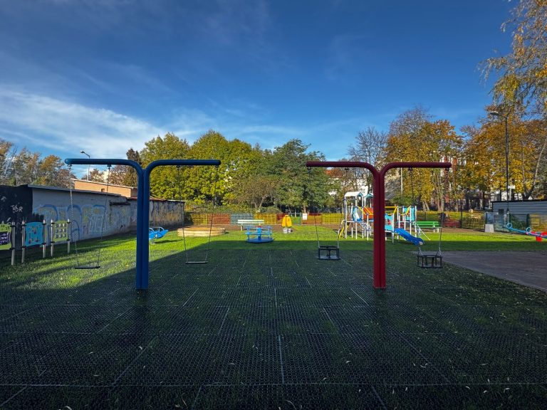 zdjęcie dekoracyjne