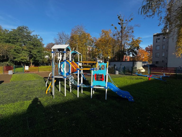 zdjęcie dekoracyjne