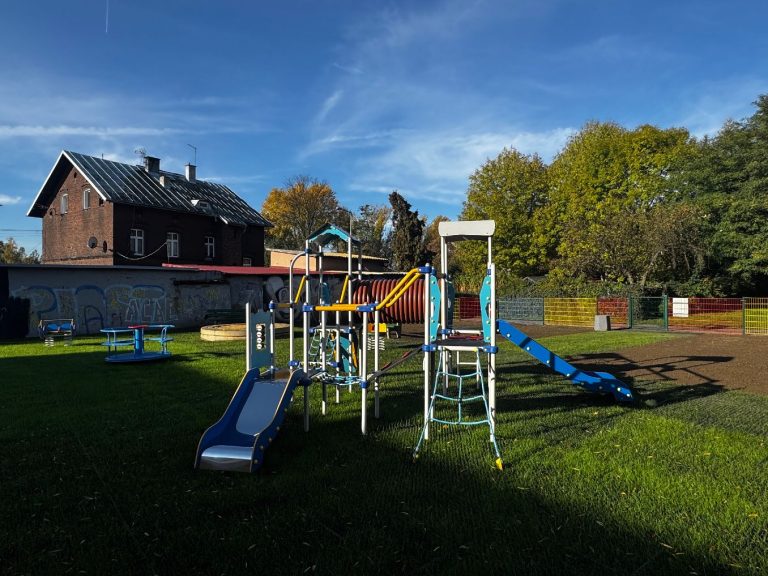 zdjęcie dekoracyjne