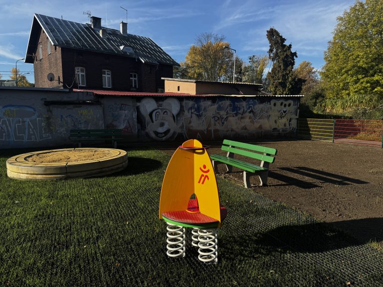 zdjęcie dekoracyjne