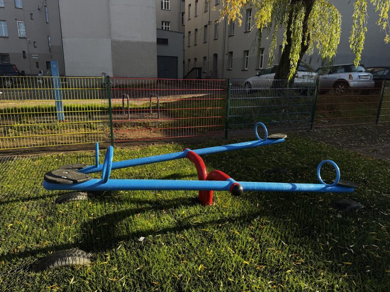 zdjęcie dekoracyjne