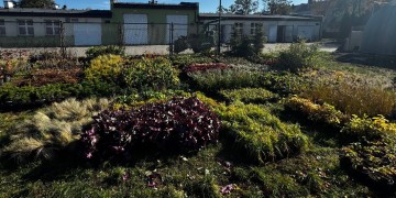 zdjęcie dekoracyjne