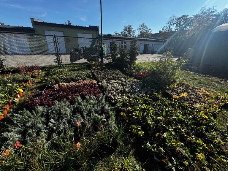 zdjęcie dekoracyjne