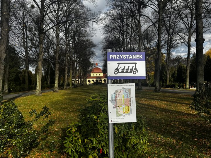 zdjęcie dekoracyjne