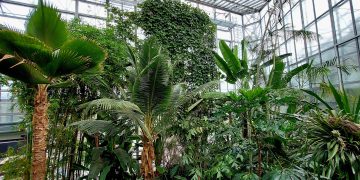 zdjęcie dekoracyjne