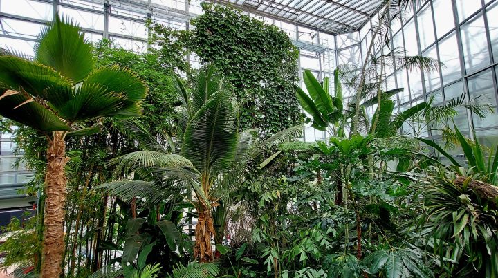 zdjęcie dekoracyjne