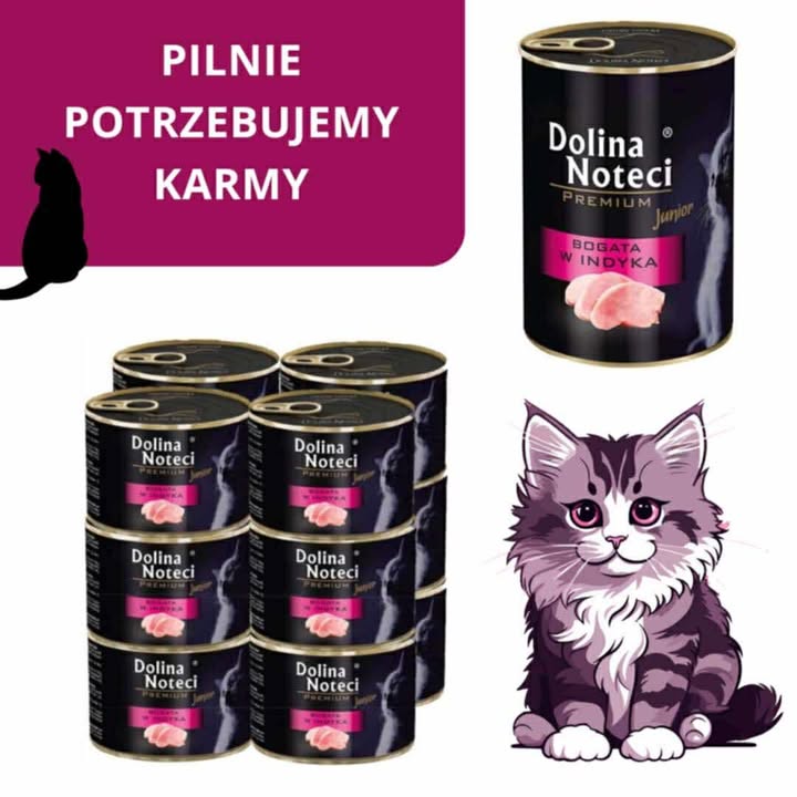 zdjęcie dekoracyjne