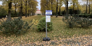 zdjęcie dekoracyjne