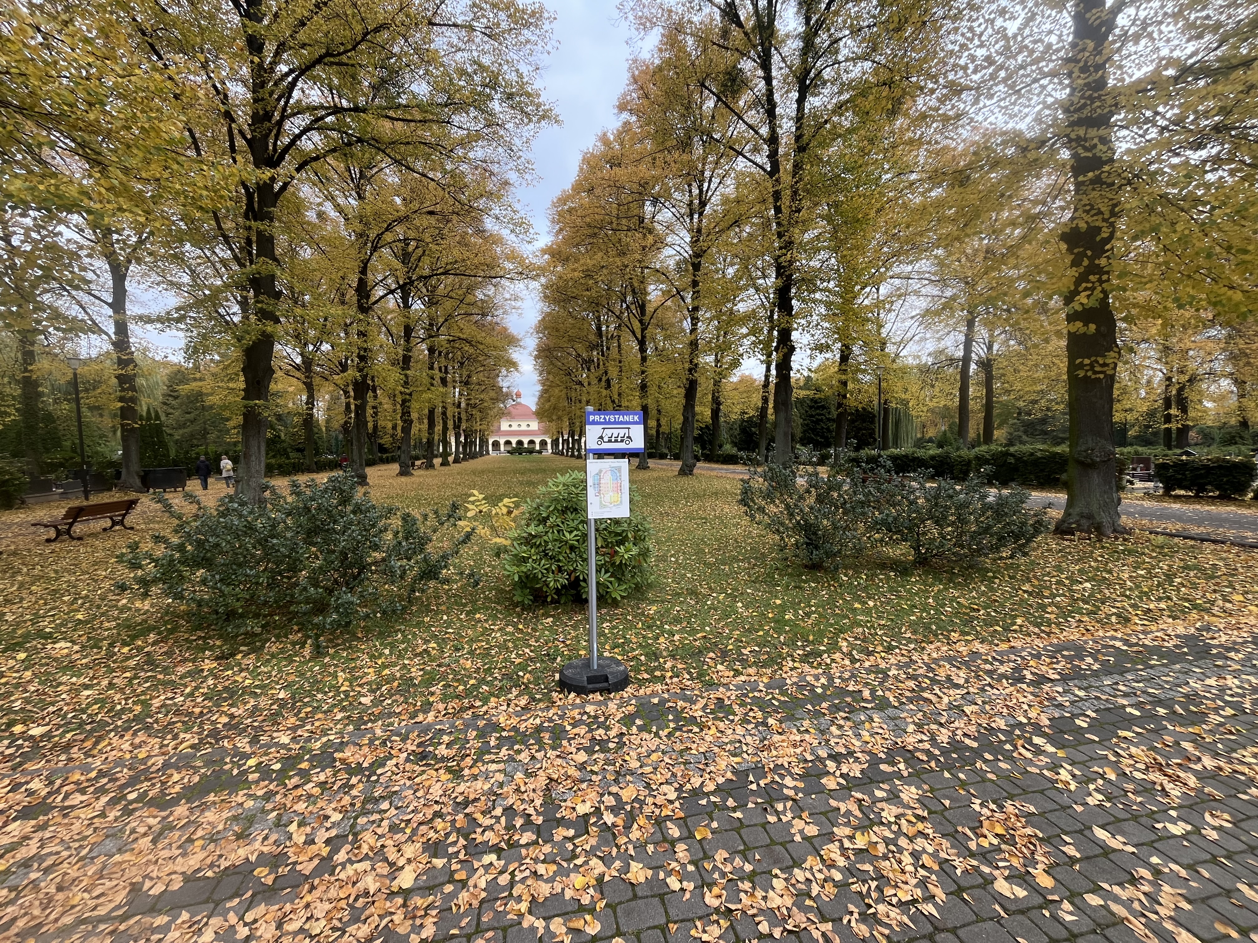 Informacje o kursowaniu i przystankach