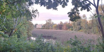 zdjęcie dekoracyjne