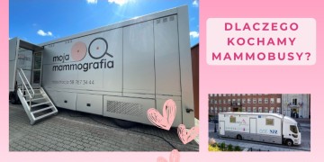 zdjęcie dekoracyjne