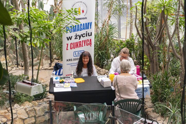 zdjęcie dekoracyjne