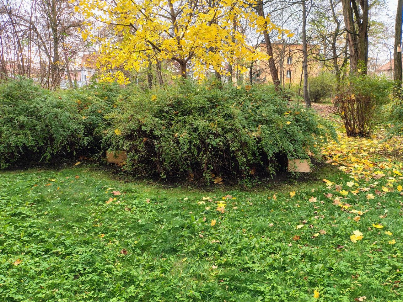 Budki i domki dla zwierząt w dzielnicy Wojska Polskiego