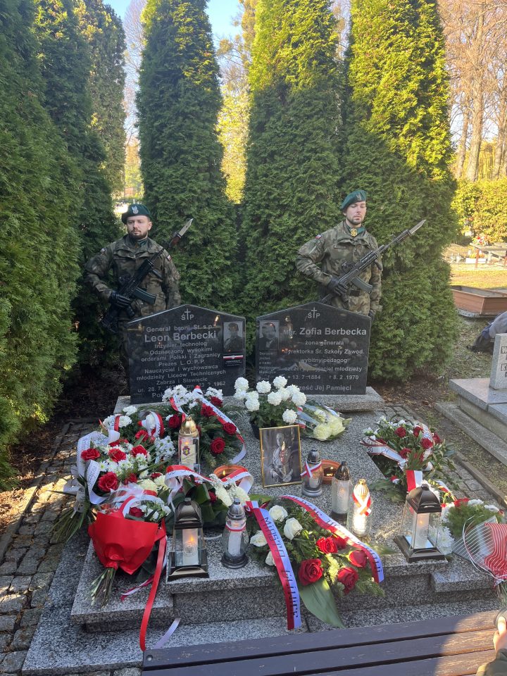 zdjęcie dekoracyjne