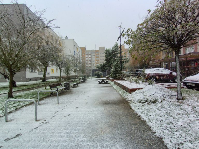 zdjęcie dekoracyjne