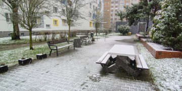 zdjęcie dekoracyjne