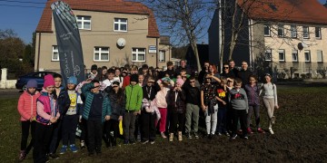 zdjęcie dekoracyjne