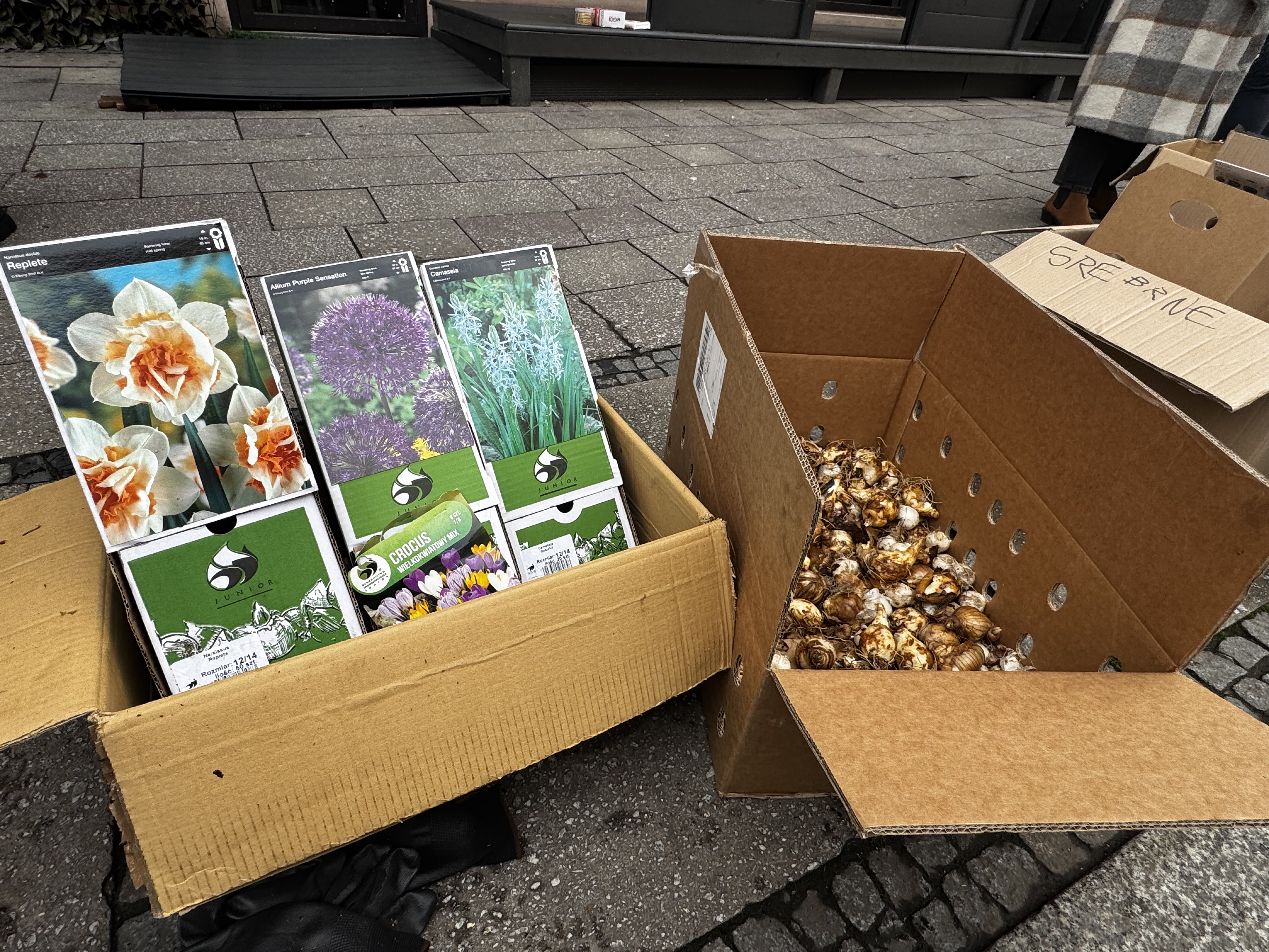 Wspólne sadzenie roślin