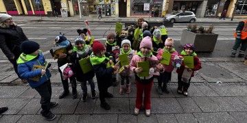 zdjęcie dekoracyjne