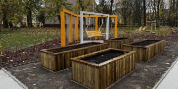 zdjęcie dekoracyjne