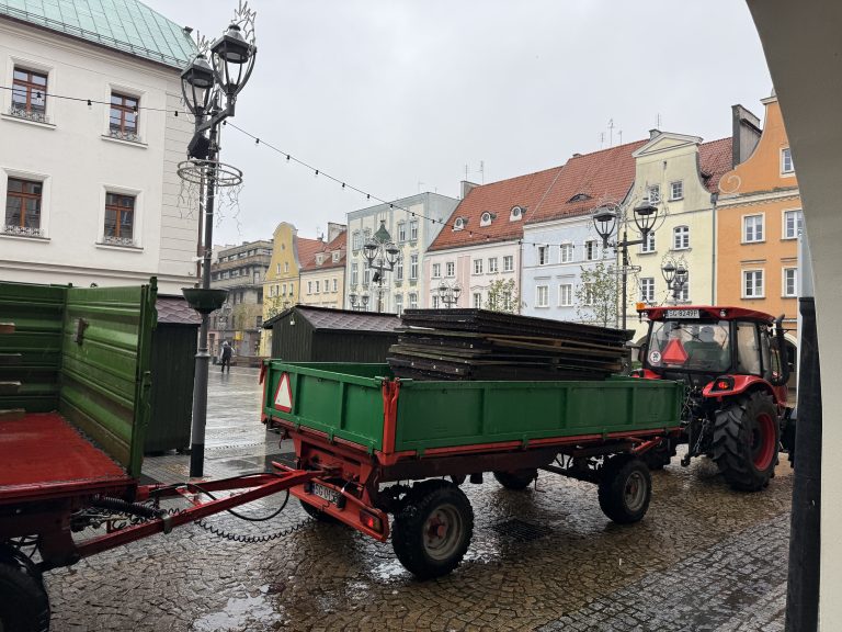 zdjęcie dekoracyjne