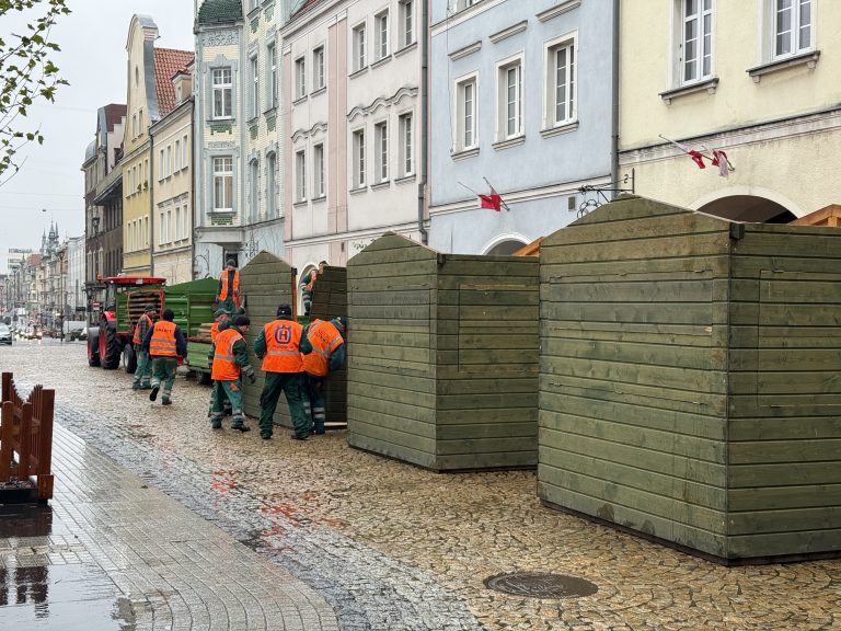 zdjęcie dekoracyjne