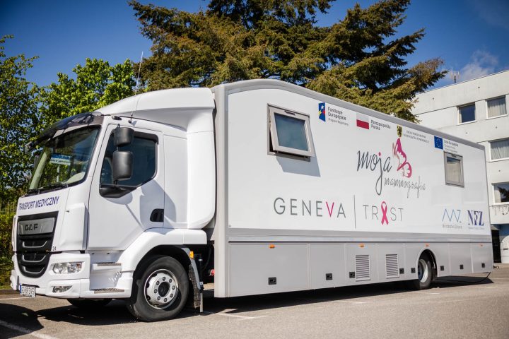 zdjęcie dekoracyjne