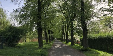 zdjęcie dekoracyjne