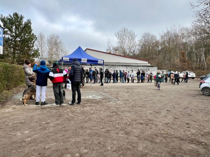 zdjęcie dekoracyjne