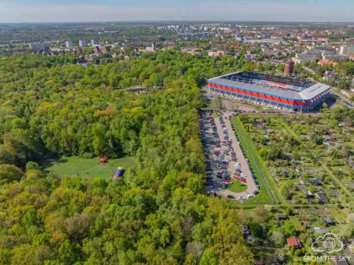 zdjęcie dekoracyjne